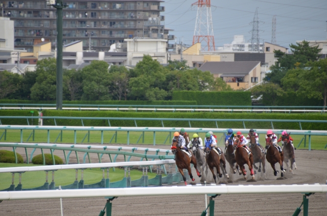 競馬の有馬記念に賭けれるブックメーカーおすすめ3選！