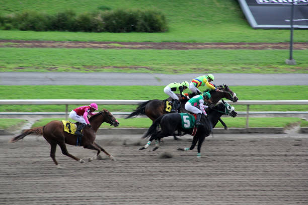 ウィリアムヒル競馬のオッズの見方も解説！