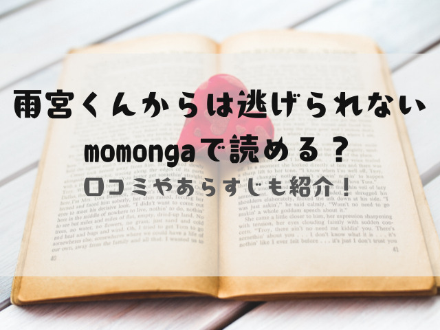 雨宮くんからは逃げられないmomongaで読める？あらすじと口コミも紹介！